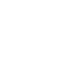 Jaggaer